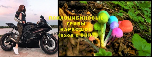 ПСИЛОЦИБИНОВЫЕ ГРИБЫ Киреевск